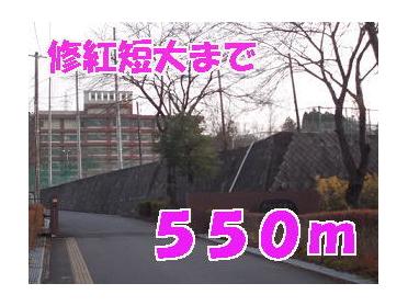 修紅短大：550m