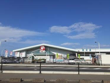 コメリハード＆グリーン 新地店：2800m