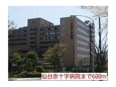 仙台赤十字病院：600m