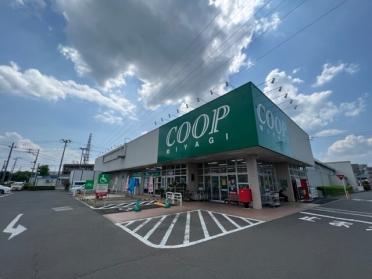 みやぎ生協富沢店：700m