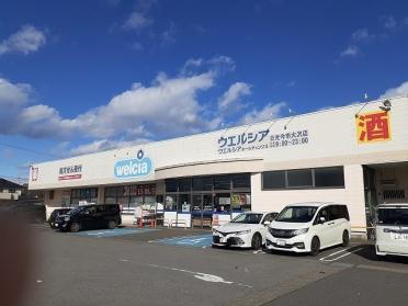 ウエルシア日光今市大沢店：2100m