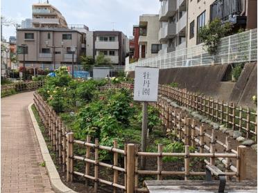 古石場川親水公園：1077m