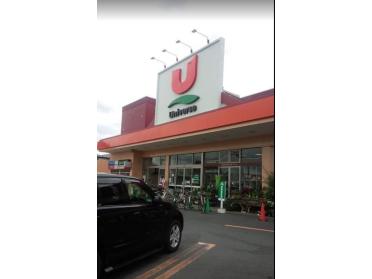 ユニバース小中野店：1183m