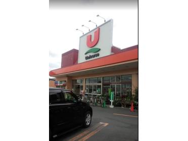 ユニバース小中野店：1192m