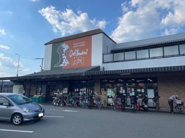 阪急オアシス石橋店：1005m