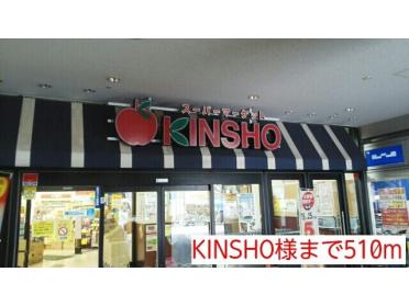 KINSHO様：510m