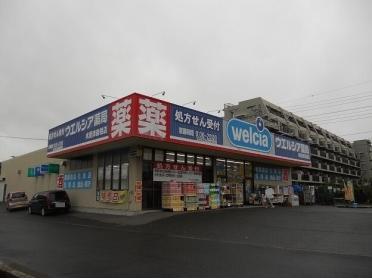 ウエルシア木更津岩根店：800m