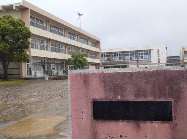 茂原市立中の島小学校：1100m