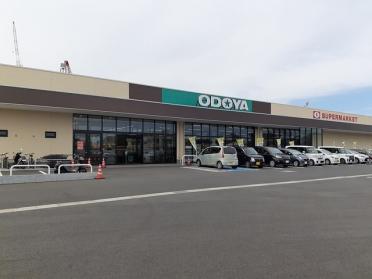 おどや江川店：1100m