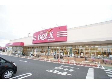 ベルク野田尾崎店：500m