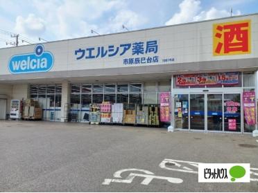 ウエルシア市原辰巳台店：1244m