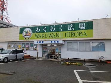 わくわく広場　館山店：700m