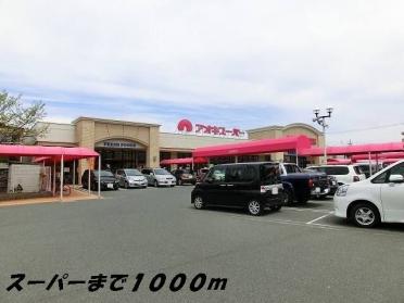 アオキスーパー：1000m