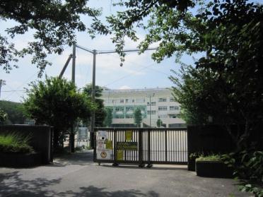 市川市立百合台小学校：553m