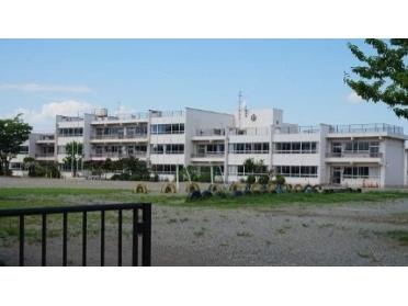 大和町立吉岡小学校：900m