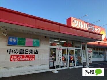 ツルハドラッグ中の島2条店：503m