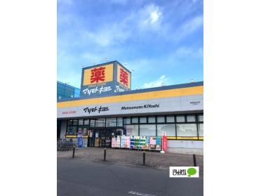 マツモトキヨシ高崎日光店：1008m