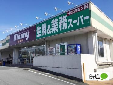 業務スーパーマミー二枚橋店：888m