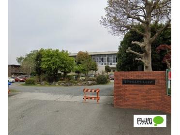 富士宮市立大富士小学校：1802m