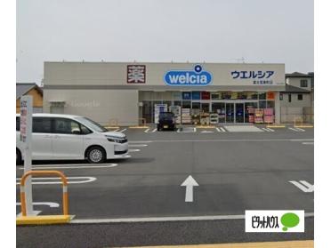 ウエルシア富士宮東町店：655m