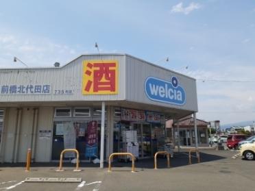 ウエルシア前橋北代田店：350m