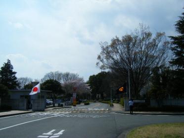 群馬大学：1160m