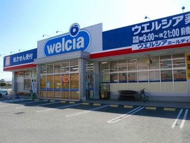 ウエルシア前橋北代田店：800m