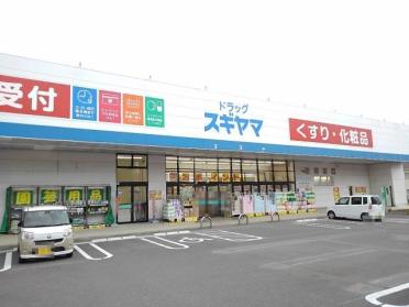 ドラッグスギヤマ笹川店：1000m