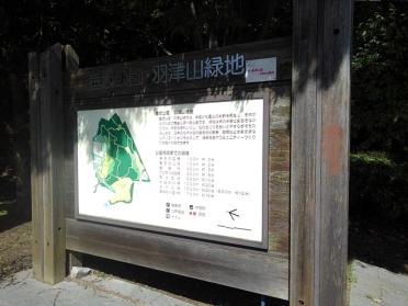 垂坂公園･羽津山緑地：1700m