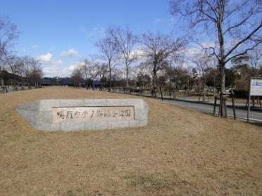 ウチノ海総合公園：50m