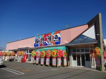 板野鮮魚ママの店藍住店様：850m