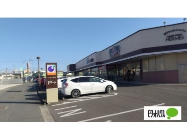 セブン中吉野店：1009m