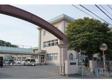 津田小学校：750m