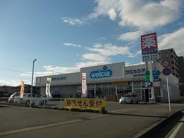 ウエルシア薬局平松本町店：400m