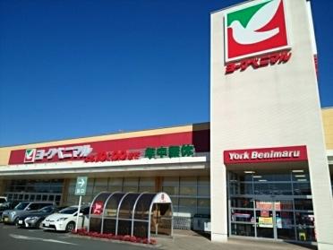 ヨークベニマル小山ゆうえんち店：1000m