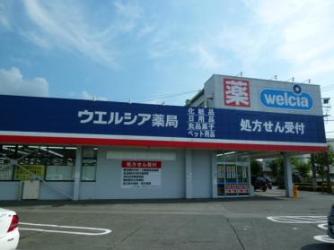 ウエルシア鹿沼貝島店：1261m