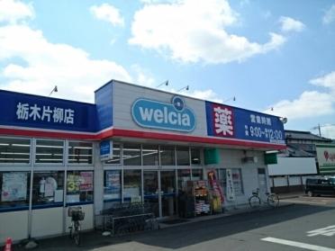 ウエルシア栃木片柳店：750m