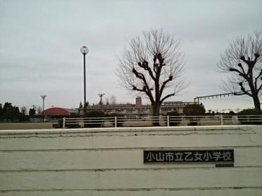 小山市立乙女小学校：550m