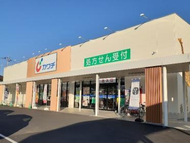 カワチ　石橋店：600m