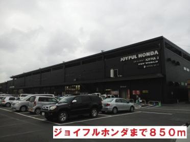 ジョイフル本田：850m