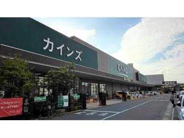 カインズ千葉ニュータウン店：3000m