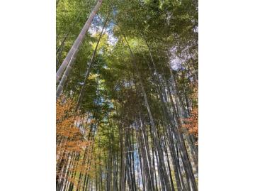 私の営業スタイル