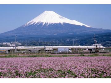 私の営業スタイル