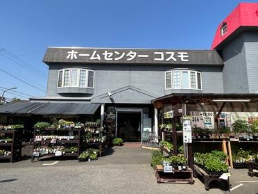 外には園芸売り場もあります！