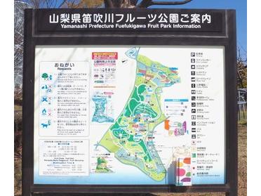 フルーツ公園・案内図
