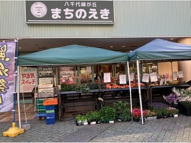 千葉県産の季節お野菜 千葉県産の季節お野菜
