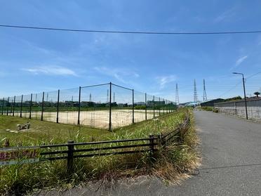 散歩コース!