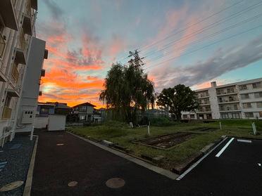 きれいです！