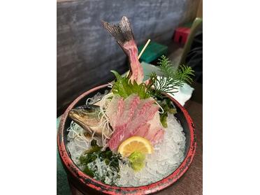たぶんイサキ