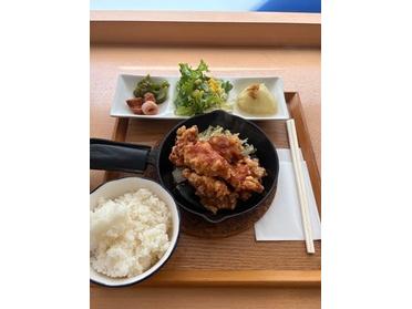 からあげ定食 からあげ定食
